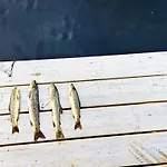 6 Person In * Люнгдал